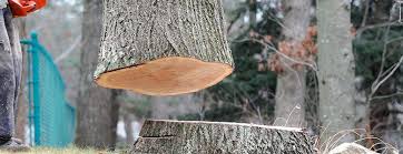 Best Firewood Processing and Delivery  in Menlo Park, CA